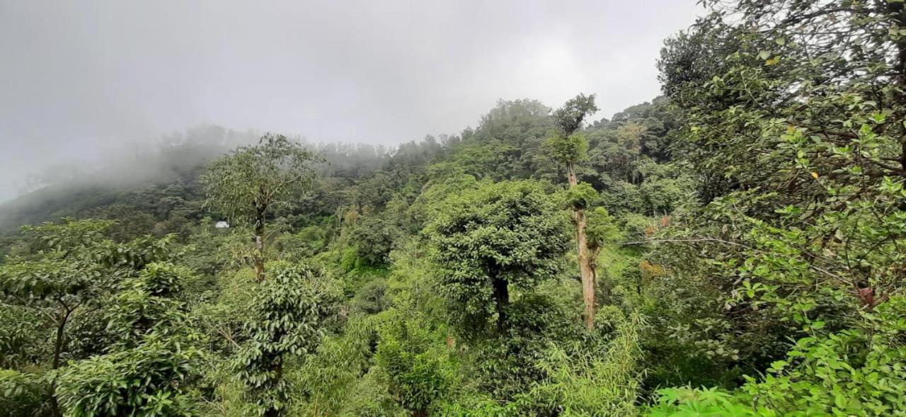 Spinson Home Stay Madikeri Ngoại thất bức ảnh